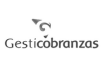 icono-customer